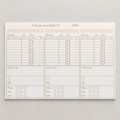 Planner para trigêmeos Laleblu